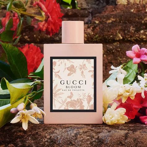 gucci bloom fragrantica|where to buy gucci bloom.